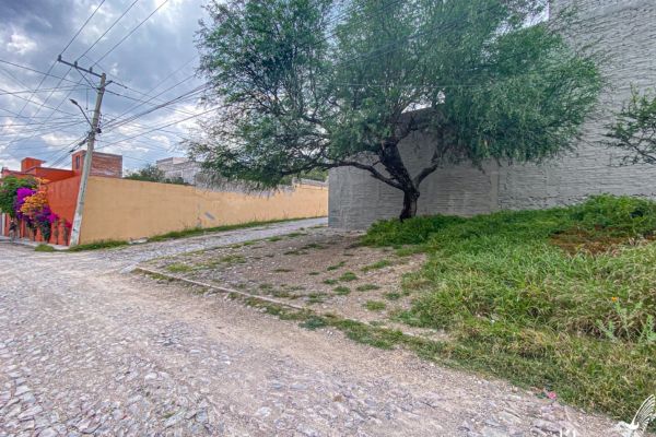 LOTE 2 COLONIA INDEPENDENCIA